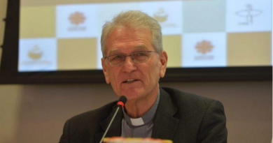 Dom Steiner: o Brasil que o novo Núncio irá encontrar