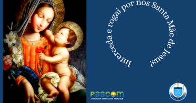 Solenidade Santa Maria, Mãe de Deus – “AO MUNDO MARIA DÁ O CRISTO, NOSSA PAZ”  – 01 de Janeiro de 2023 – Ano A