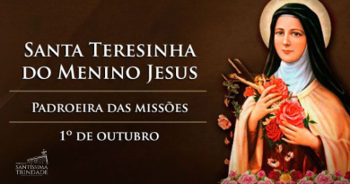 SANTA TERESINHA DO MENINO JESUS