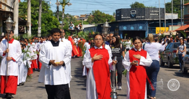 digno de um rei - Domingo de Ramos da Paixão do Senhor - 2026